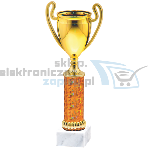 25629_a25629_a.png