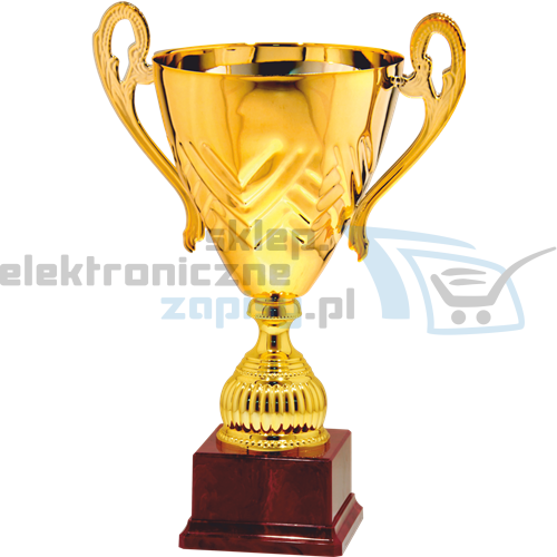 g20201d_2023g20201d_2023.png